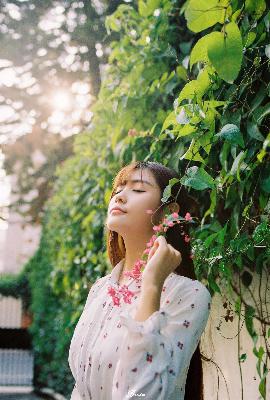 树影迷宫电视剧免费高清观看全集